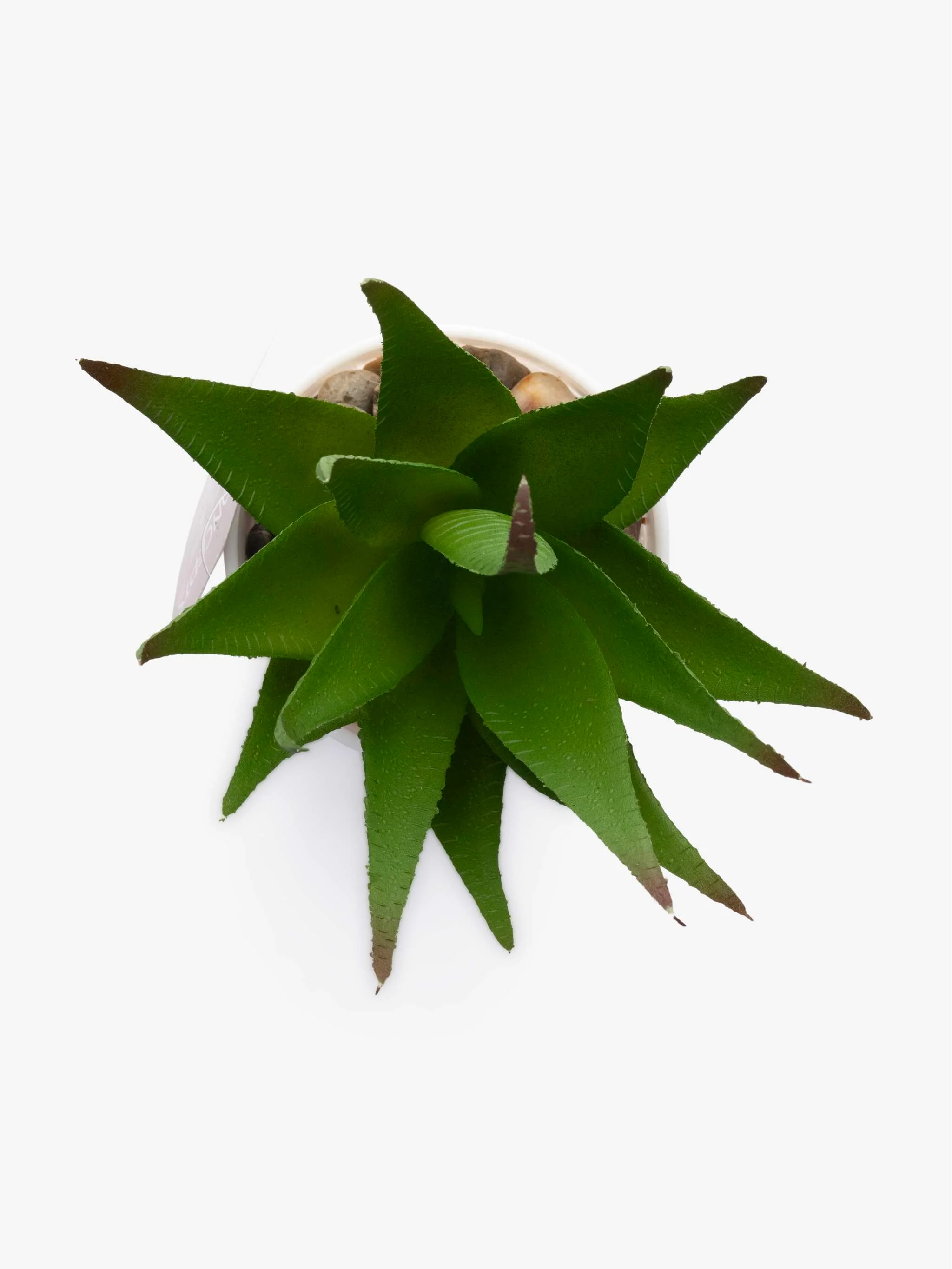 Planta artificial con maceta, tamaño 7 x 12 cm - Image 3